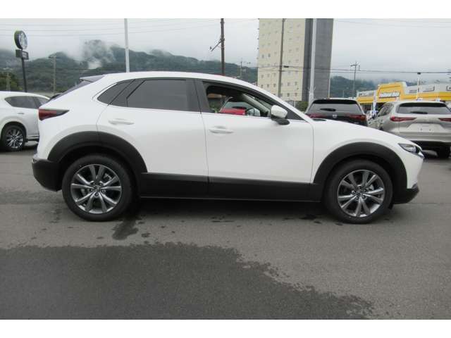 Mazda CX-30 12