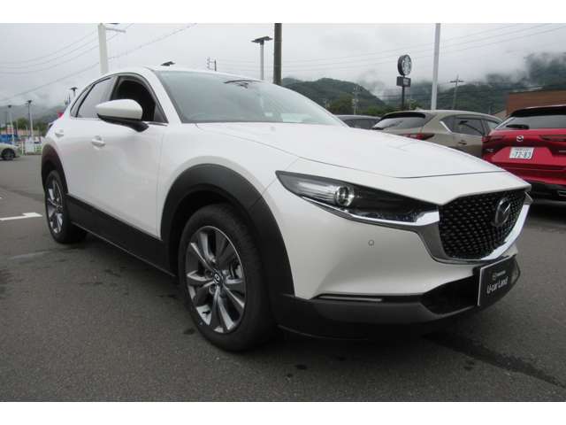 Mazda CX-30 5