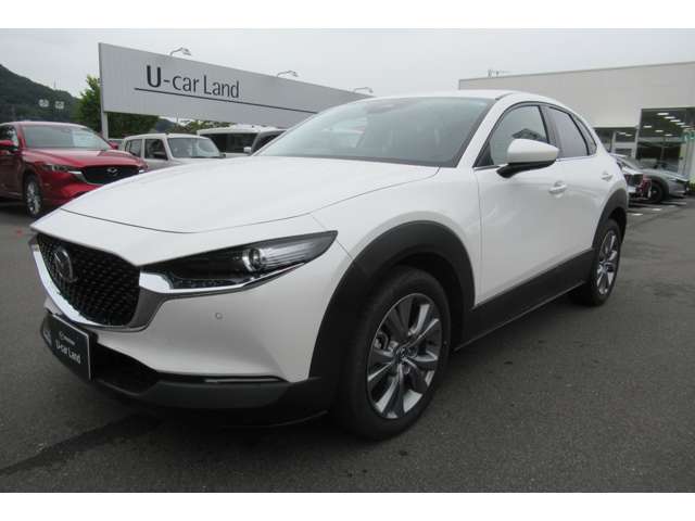 Mazda CX-30 6