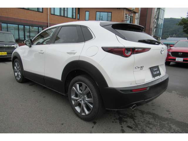 Mazda CX-30 9