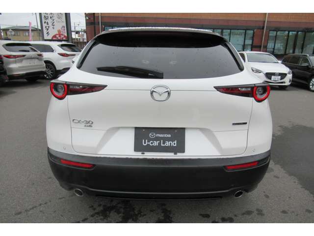 Mazda CX-30 10