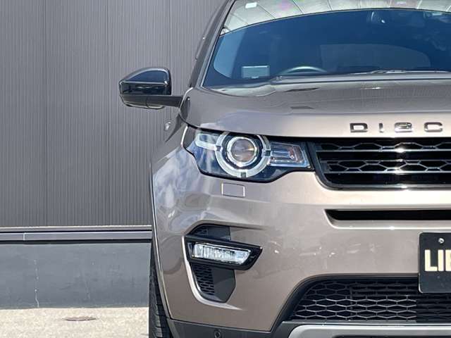 Land Rover Discovery Sport 12