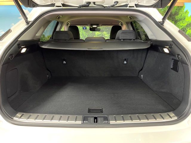 Lexus RX 10