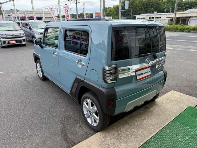 Daihatsu Taft 8