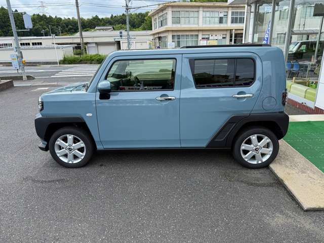 Daihatsu Taft 9