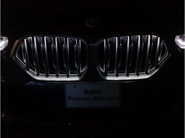 BMW X6 12