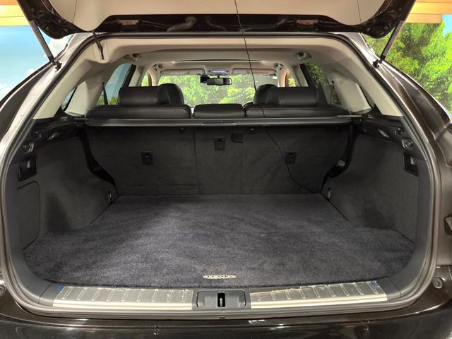 Lexus RX Hybrid 11