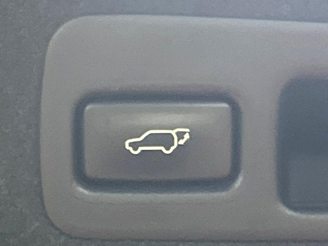 Lexus RX Hybrid 6