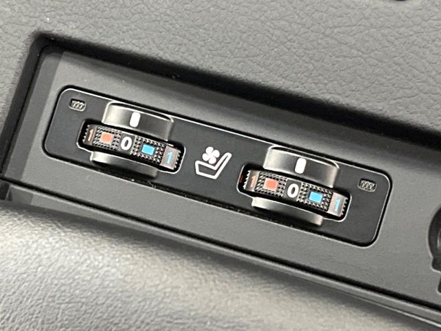 Lexus RX Hybrid 8