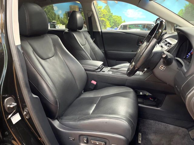 Lexus RX Hybrid 9