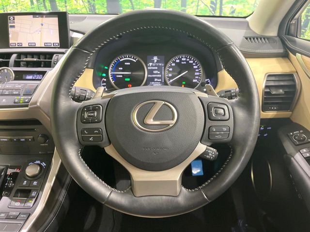 Lexus NX 11