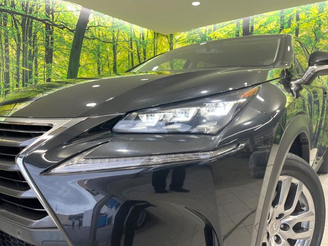 Lexus NX 12