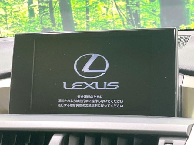 Lexus NX 3