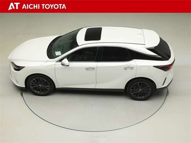 Lexus RX 11