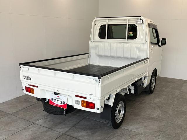 Toyota Pixis Truck 3