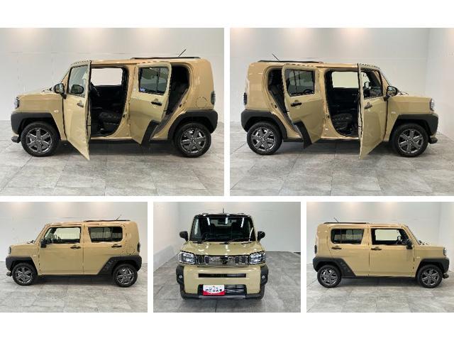 Daihatsu Taft 8