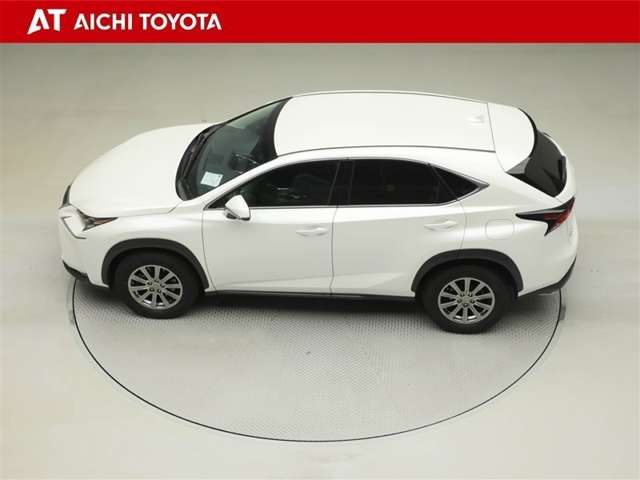 Lexus NX 11