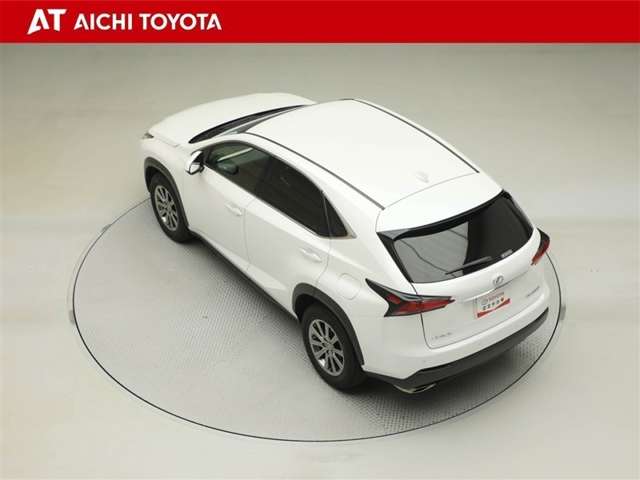 Lexus NX 12