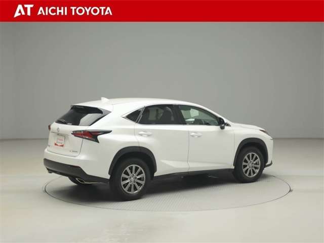 Lexus NX 6