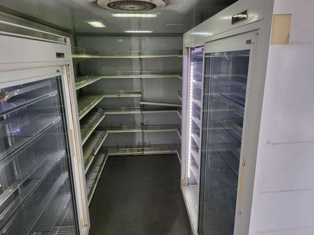 Isuzu Elf Van 4