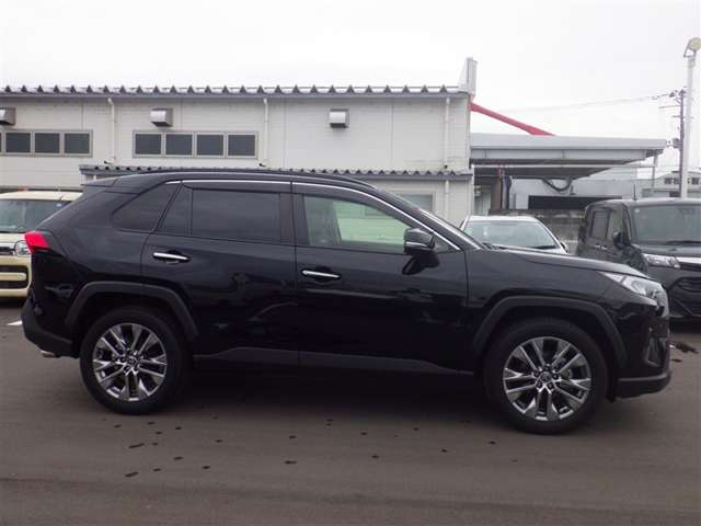Toyota RAV4 6