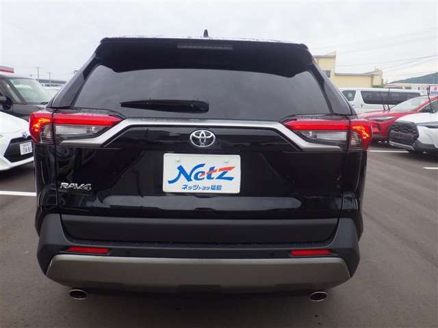 Toyota RAV4 9