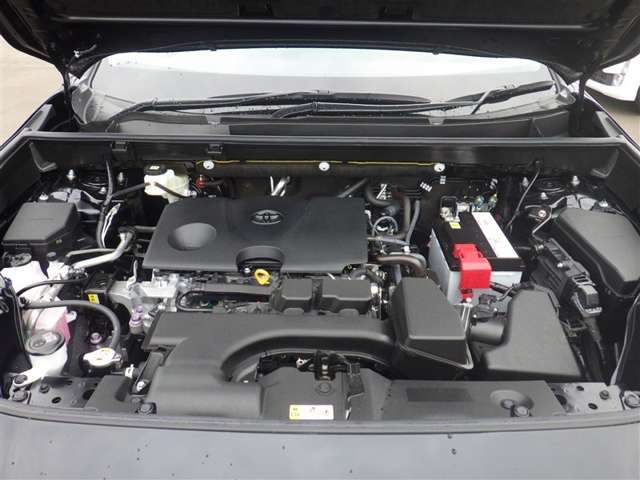 Toyota RAV4 10