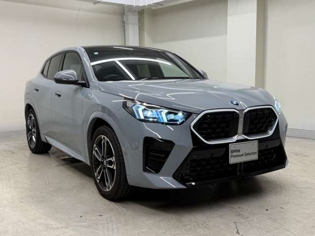 BMW X2 9