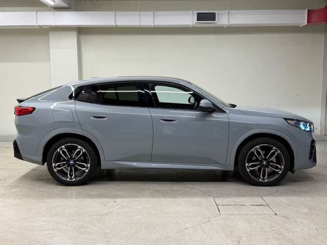 BMW X2 10