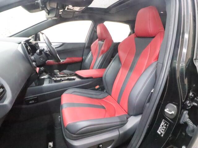 Lexus NX 10
