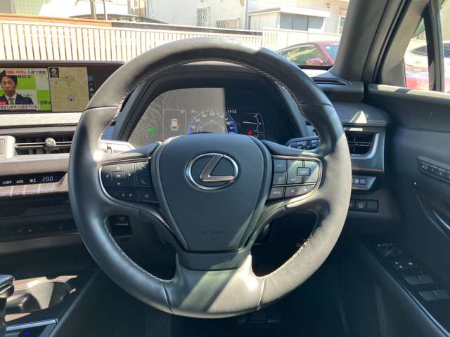 Lexus UX 11