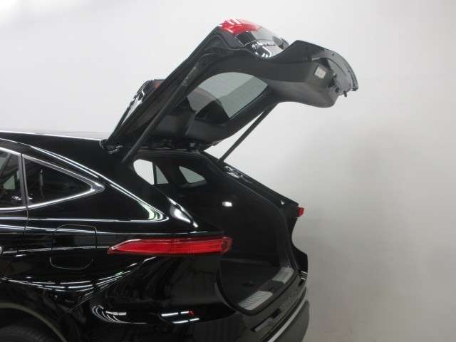 Toyota Harrier 10