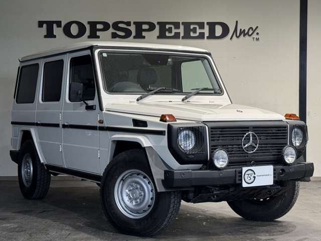Mercedes-Benz G-Class 10