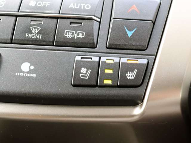 Lexus NX 4
