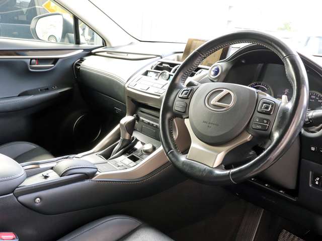 Lexus NX 10
