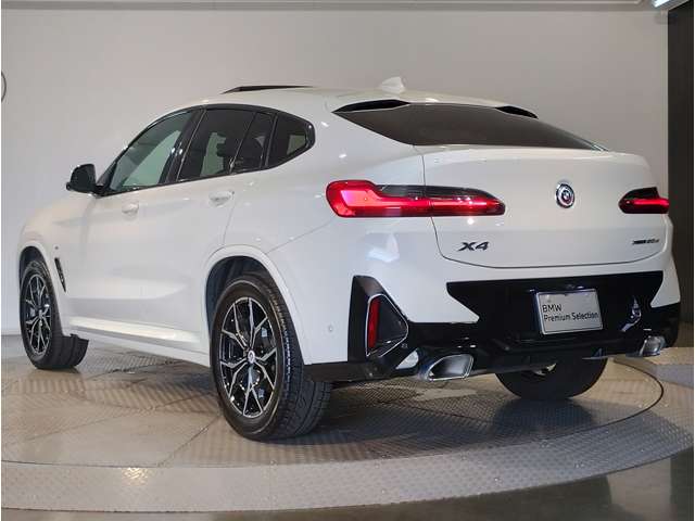 BMW X4 10