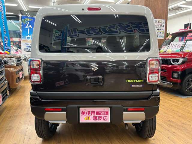 Suzuki Hustler 11