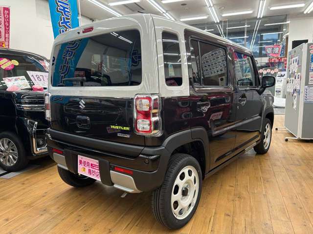 Suzuki Hustler 10