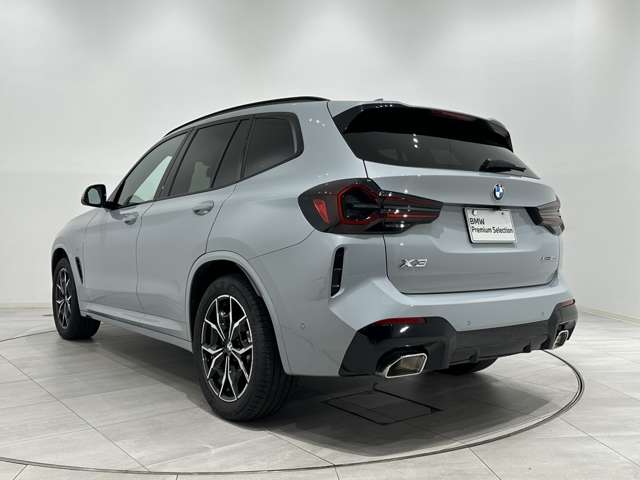 BMW X3 8