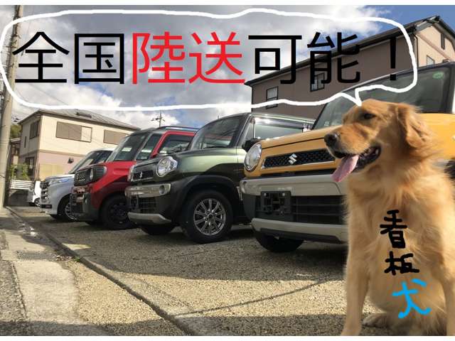 Suzuki Hustler 3