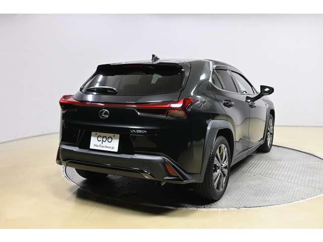 Lexus UX 6