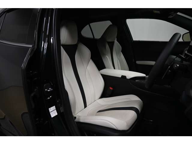 Lexus UX 10