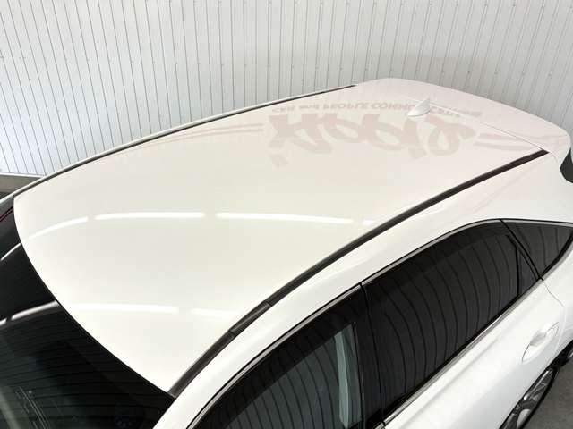 Lexus RX 11