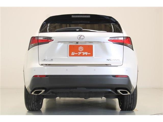 Lexus NX 12