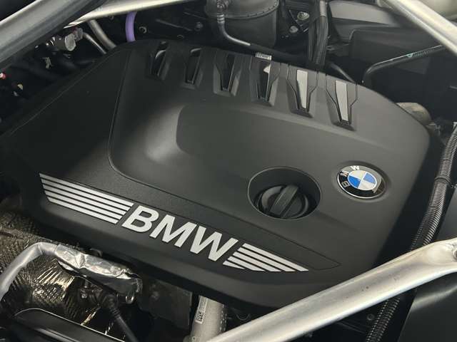 BMW X6 5