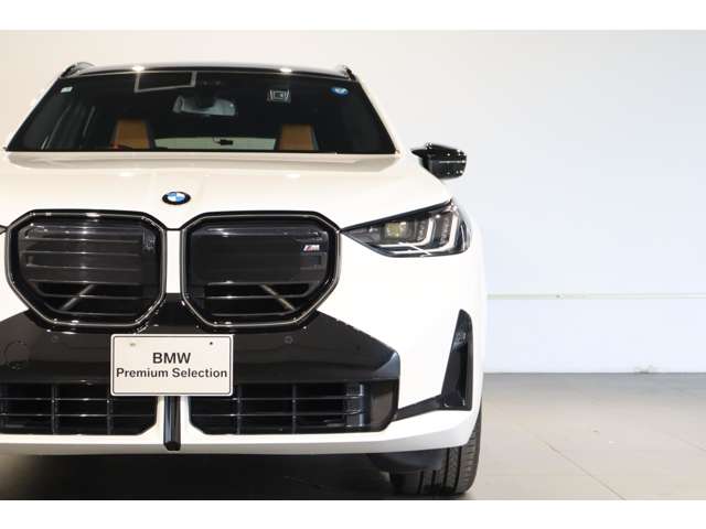 BMW X3 6