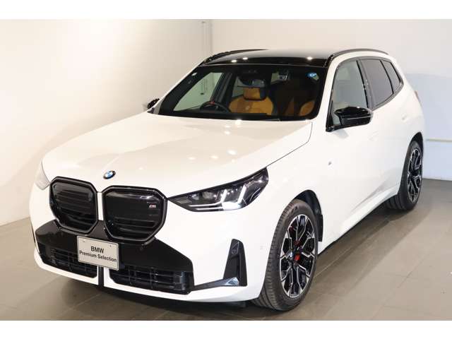 BMW X3 8