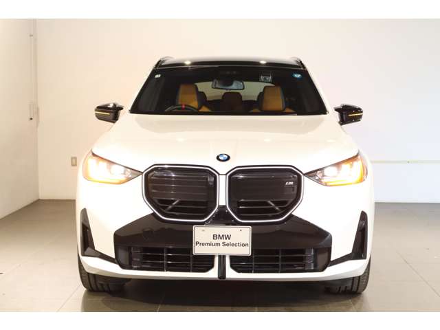 BMW X3 9