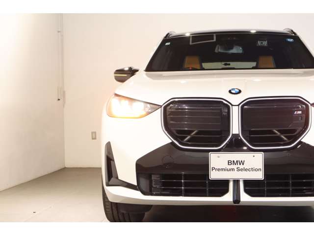 BMW X3 10