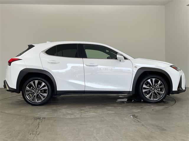 Lexus UX 8